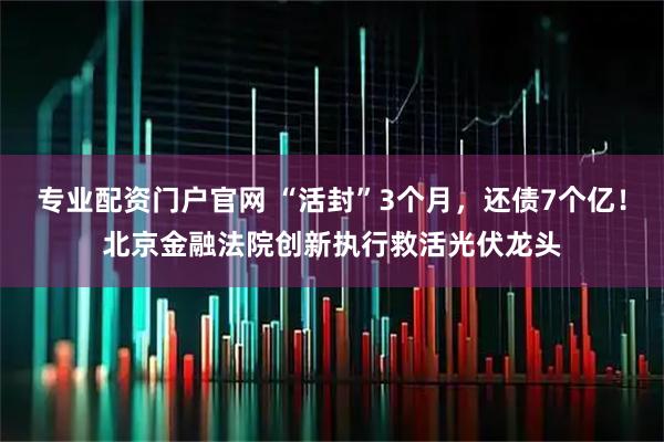 专业配资门户官网 “活封”3个月，还债7个亿！北京金融法院创新执行救活光伏龙头